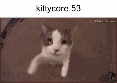 A Picture Of A Cat With The Words Kittycore 53 On Top Of It . GIF