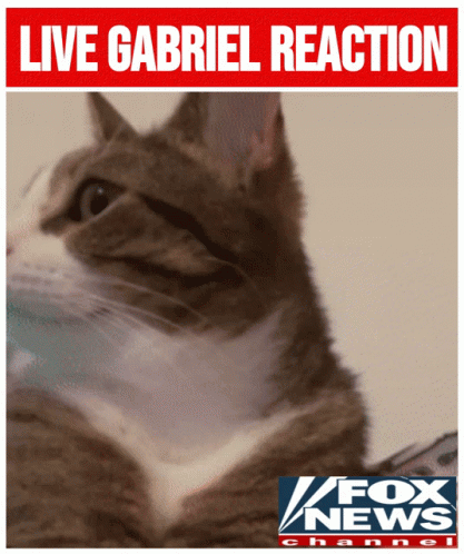A Picture Of A Cat With The Words Live Gabriel Reaction Above It GIF