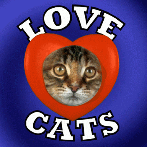 A Picture Of A Cat With The Words Love Cats On It GIF