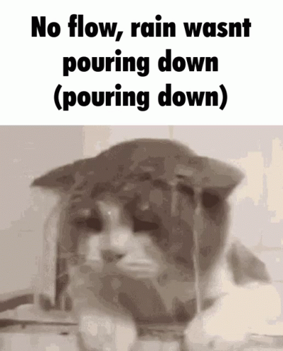 a picture of a cat with the words no flow rain wasnt pouring down ( pouring down )