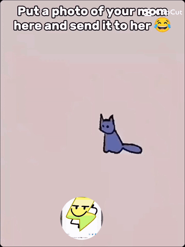 A Picture Of A Cat With The Words Put A Photo Of Your Mom Here And Send It To Her On The Bottom GIF