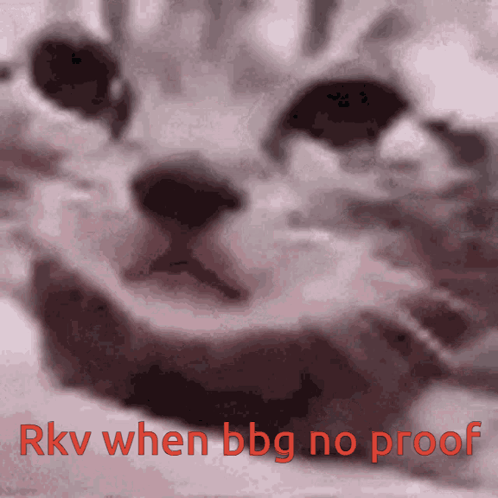 A Picture Of A Cat With The Words Rkv When Bbg No Proof Written Below It GIF