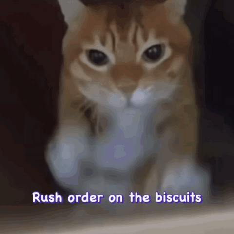 A Picture Of A Cat With The Words Rush Order On The Biscuits Above It GIF