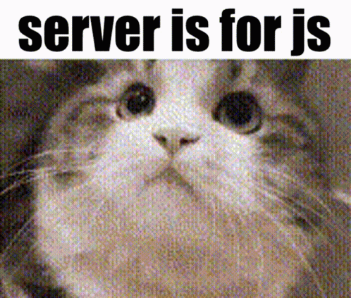 A Picture Of A Cat With The Words Server Is For Js Below It GIF