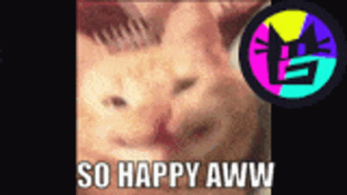 A Picture Of A Cat With The Words So Happy Aww Below It GIF