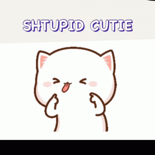 A Picture Of A Cat With The Words Stupid Cutie Written Above It GIF