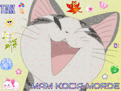 A Picture Of A Cat With The Words Tak Mam Kocia Morde On The Bottom GIF