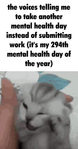 A Picture Of A Cat With The Words " The Voices Telling Me To Take Another Mental Health Day Instead Of Submitting Work " GIF