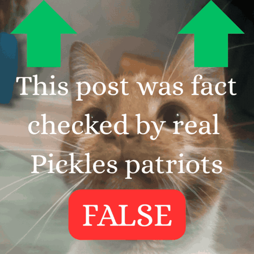 A Picture Of A Cat With The Words " This Post Was Fact Checked By Real Pickles Patriots " Above It GIF