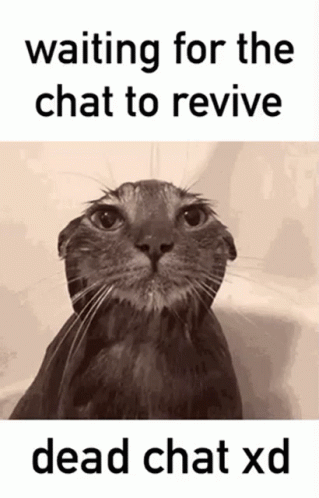 A Picture Of A Cat With The Words Waiting For The Chat To Revive Dead Chat Xd Below It GIF