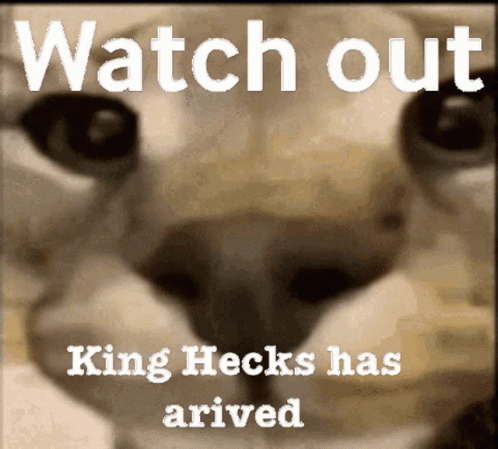 A Picture Of A Cat With The Words Watch Out King Hecks Has Arrived On It GIF