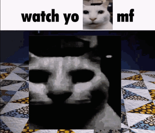 A Picture Of A Cat With The Words " Watch Yo Mf " Above It GIF