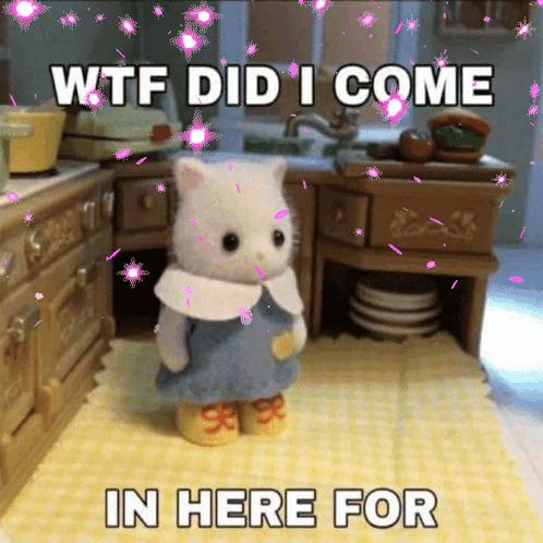 A Picture Of A Cat With The Words Wtf Did I Come In Here For On It GIF
