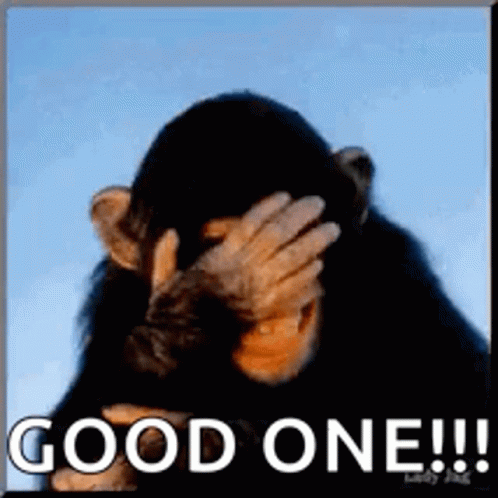 A Picture Of A Chimpanzee Covering His Face With His Hand And The Words Good One !!! GIF