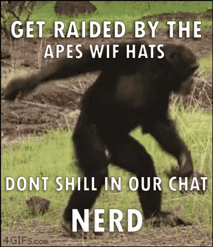 A Picture Of A Chimpanzee With The Words Get Raided By The Apes Wif Hats GIF