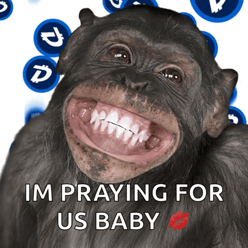 A Picture Of A Chimpanzee With The Words " Im Praying For Us Baby " GIF