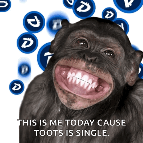 A Picture Of A Chimpanzee With The Words This Is Me Today Cause Toots Is Single GIF