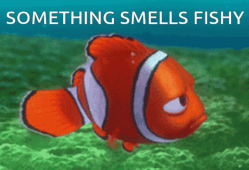 A Picture Of A Clown Fish With The Words Something Smells Fishy Below It GIF