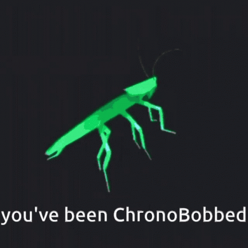 A Picture Of A Cockroach And The Words " You 'Ve Been Chronobobbed " GIF