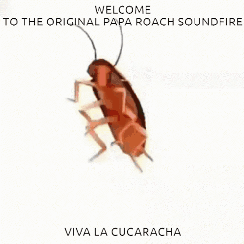A Picture Of A Cockroach With The Words Welcome To The Original Papa Roach Soundfire GIF