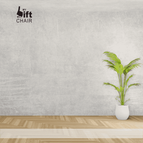 A Picture Of A Comfort Lift Recliner With A Plant In Front Of It GIF
