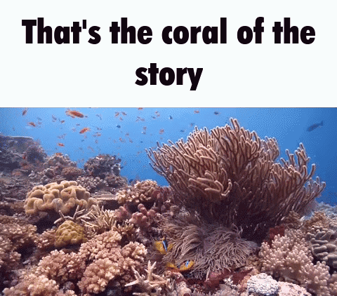 A Picture Of A Coral Reef With The Words That 'S The Coral Of The Story GIF