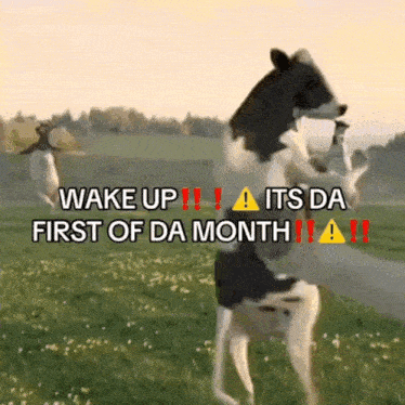 A Picture Of A Cow Standing On Its Hind Legs With The Words Wake Up Its Da First Of Da Month GIF