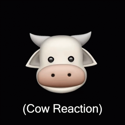 A Picture Of A Cow With The Words " Cow Reaction " Below It GIF