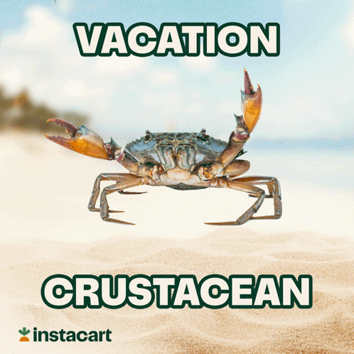 A Picture Of A Crab On A Beach With The Words Vacation And Crustacean Below It GIF