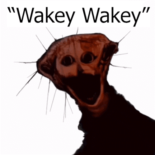 A Picture Of A Creepy Animal With The Words " Wakey Wakey " Above It GIF