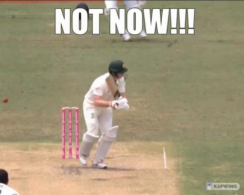 A Picture Of A Cricket Player With A Caption That Says " Not Now " GIF