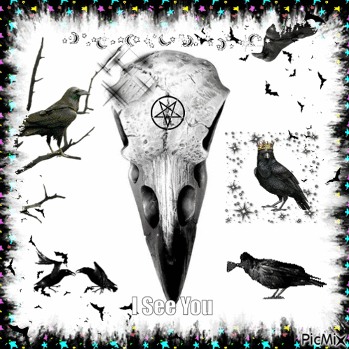 A Picture Of A Crow Skull With A Pentagram And The Words " I See You " GIF