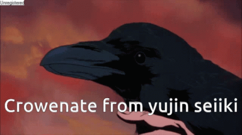 A Picture Of A Crow With The Words Crowenate From Yujin Seiiki GIF