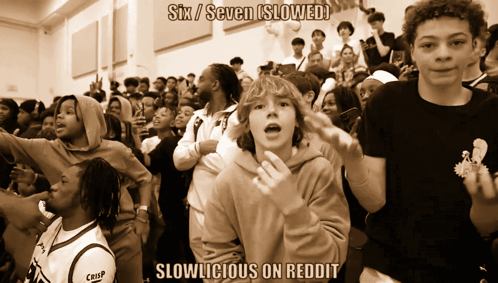 A Picture Of A Crowd Of People With The Caption Six / Seven Slowed GIF