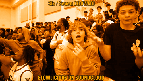 A Picture Of A Crowd With The Words Six / Seven Slowed GIF