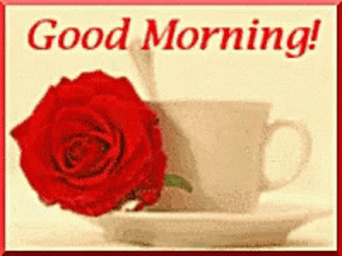 A Picture Of A Cup Of Coffee And A Red Rose With The Words Good Morning GIF