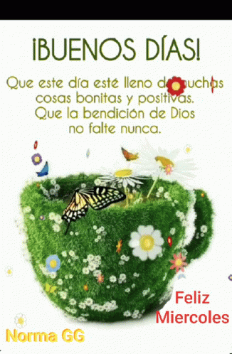 A Picture Of A Cup Of Grass With Flowers And Butterflies And The Words Buenos Dias GIF