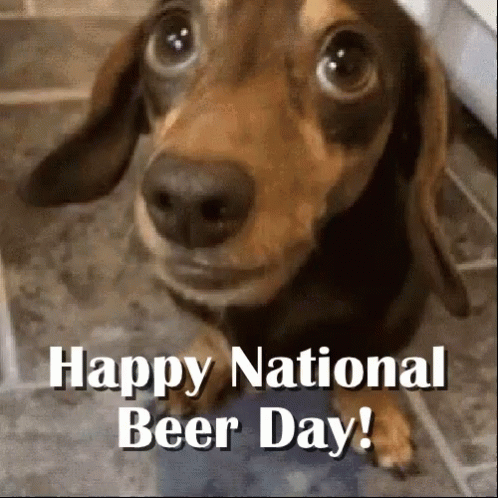 A Picture Of A Dachshund With The Words Happy National Beer Day On It GIF