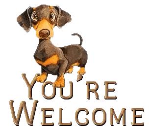 a picture of a dachshund with the words you 're welcome