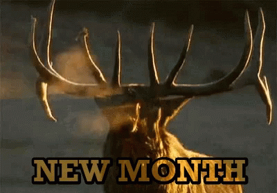 A Picture Of A Deer And The Words New Month GIF