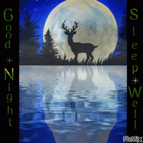 A Picture Of A Deer In Front Of A Full Moon With The Words Good Night Sleep Well GIF