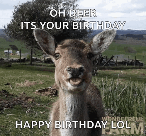A Picture Of A Deer That Says Oh Deer Its Your Birthday Happy Birthday Lol GIF