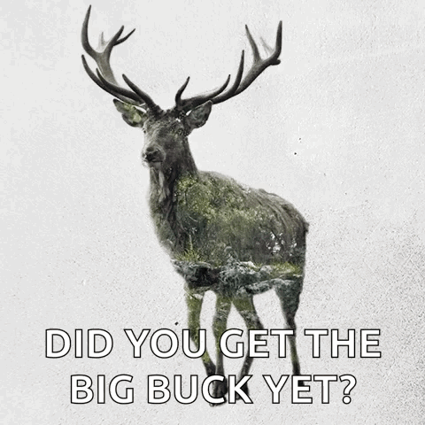 A Picture Of A Deer With A Caption That Says Did You Get The Big Buck Yet GIF