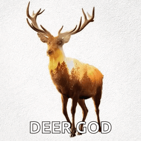 A Picture Of A Deer With The Word Deer God Written Below It GIF