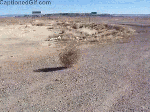 A Picture Of A Desert Road With Captionedgif.com Written On The Bottom GIF