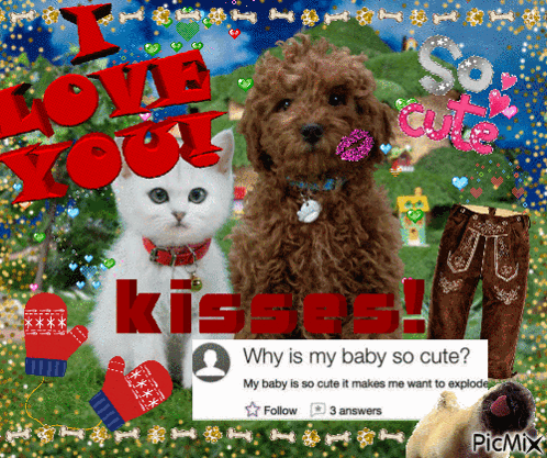 A Picture Of A Dog And A Cat With The Words I Love You Kisses On It GIF