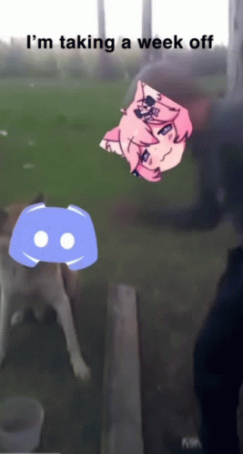 A Picture Of A Dog And A Discord Icon With The Words I 'M Taking A Week Off At The Bottom GIF