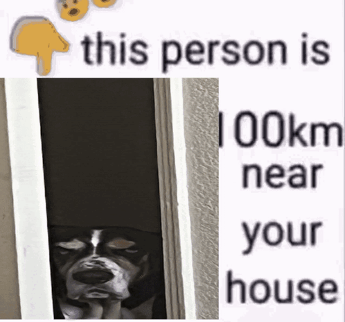 A Picture Of A Dog And A Sign That Says This Person Is 100Km Near Your House GIF
