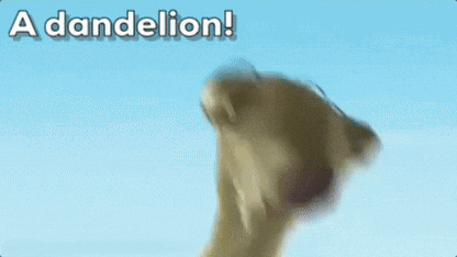 A Picture Of A Dog Holding A Flower With The Words " A Dandelion " Above It GIF