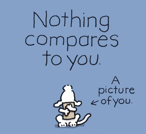 A Picture Of A Dog Holding A Piece Of Paper That Says Nothing Compares To You GIF